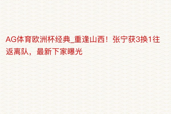 AG体育欧洲杯经典_重逢山西！张宁获3换1往返离队，最新下家曝光